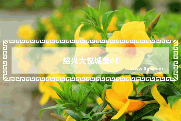 绍兴大悦城美食推荐店铺有哪些品牌的