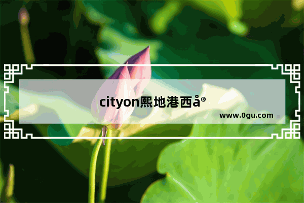 cityon熙地港西安购物中心能存东西吗