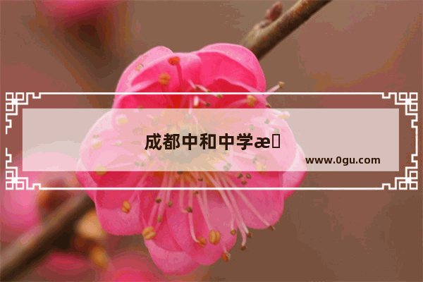 成都中和中学排名
