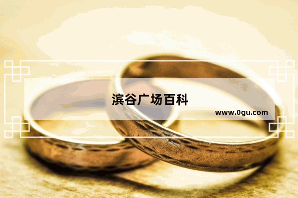 滨谷广场百科