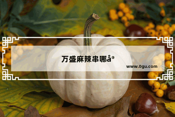 万盛麻辣串哪家好吃
