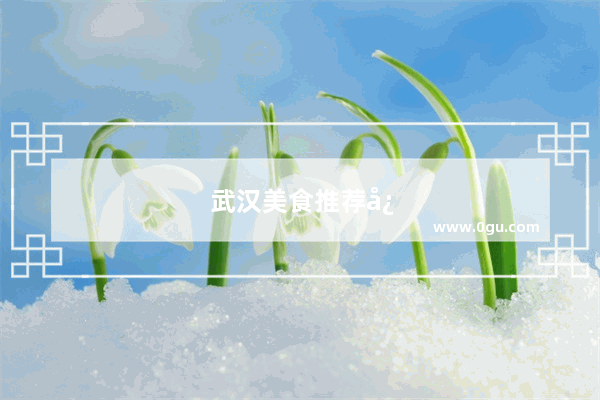 武汉美食推荐必吃小吃有哪些品牌的食品店