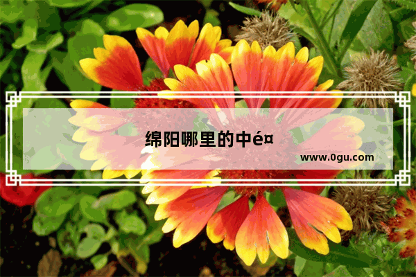 绵阳哪里的中餐菜好吃