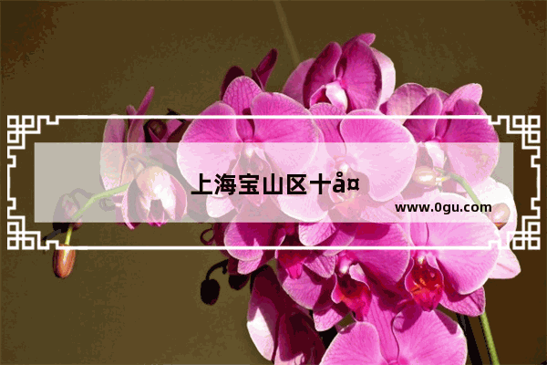 上海宝山区十大面馆