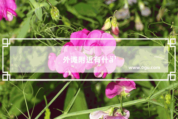 外滩附近有什么好吃的地方