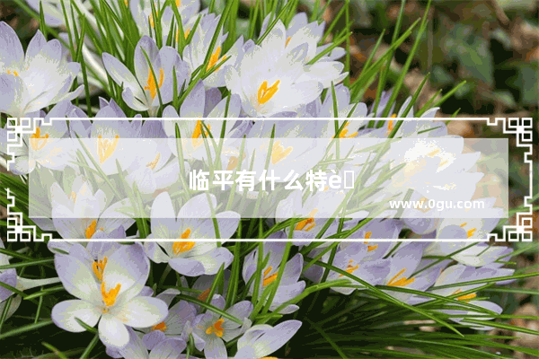临平有什么特色小吃