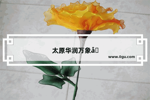 太原华润万象城美食排行