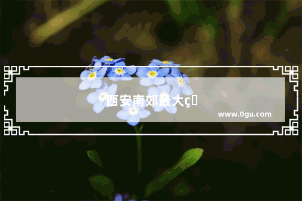 西安南郊最大的自助餐
