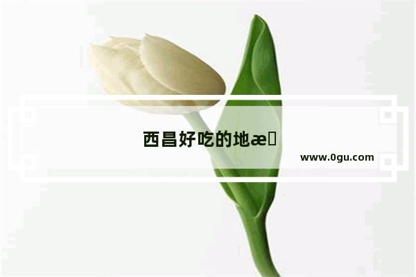 西昌好吃的地方