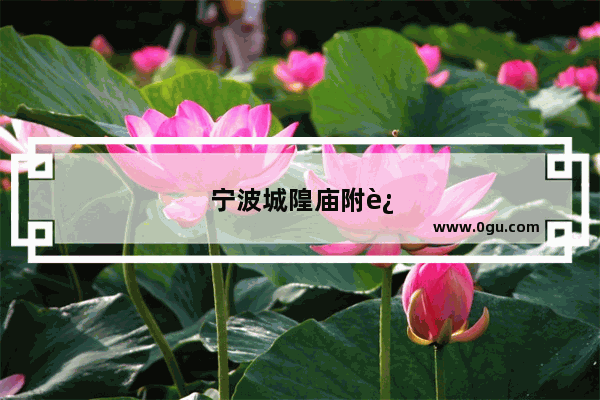 宁波城隍庙附近美食推荐餐厅有哪些地方吃的
