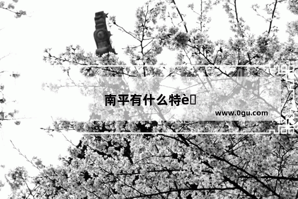 南平有什么特色小吃