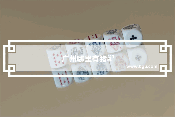 广州哪里有猪乸菜吃