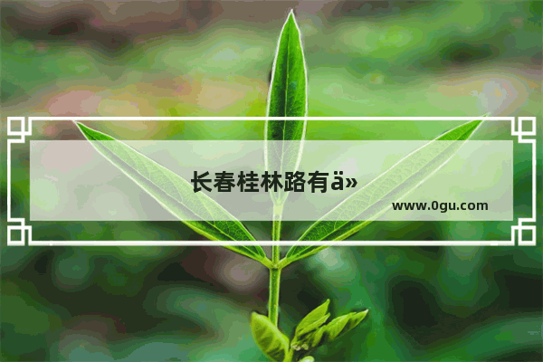长春桂林路有什么好吃的