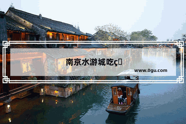 南京水游城吃猪脑的火锅店是什么