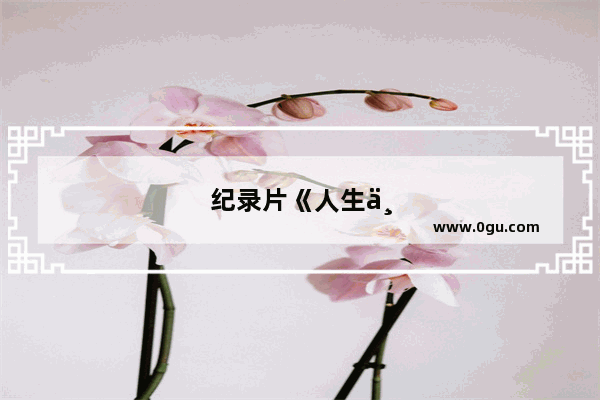 纪录片《人生一串》中推荐了沈阳的烤鸡架和烤串 你平时最喜欢去沈阳的哪家店撸串