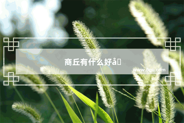 商丘有什么好吃又实惠的饭店