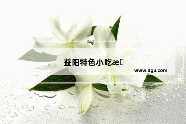 益阳特色小吃排名