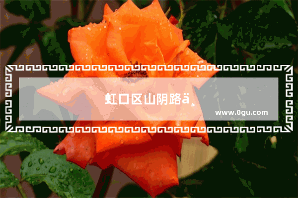 虹口区山阴路上有什么好吃的