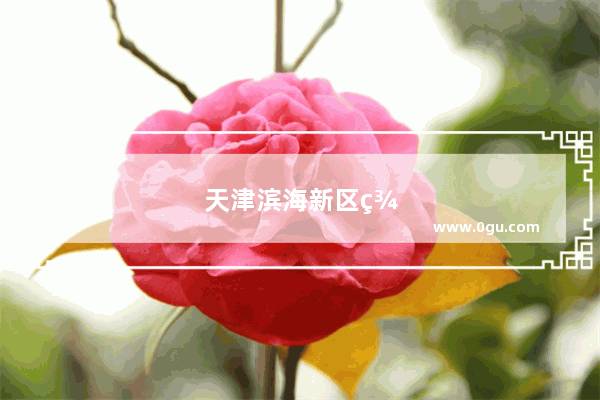 天津滨海新区美食推荐地方有哪些好吃的