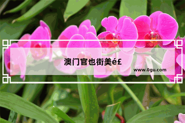 澳门官也街美食推荐店铺有哪些呢图片