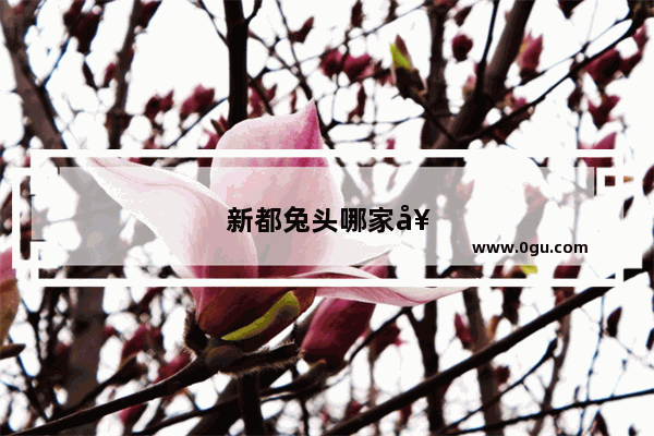 新都兔头哪家好吃