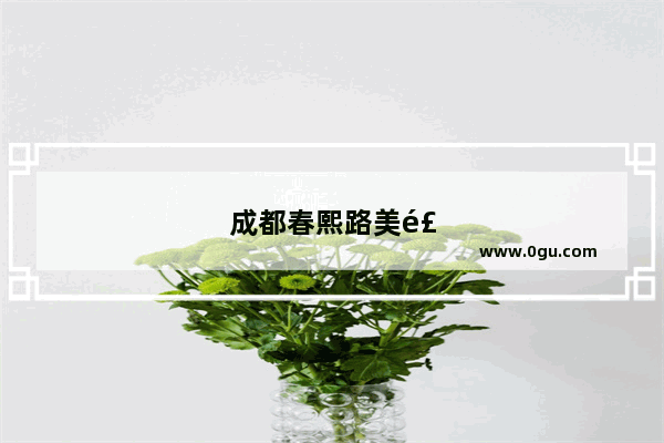 成都春熙路美食推荐餐厅有哪些店铺名字