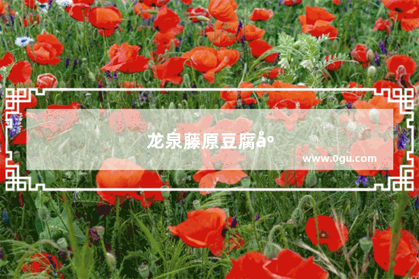 龙泉藤原豆腐店为什么出名