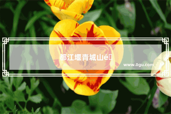 都江堰青城山附近的小吃