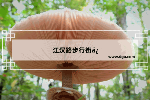 江汉路步行街必吃美食推荐