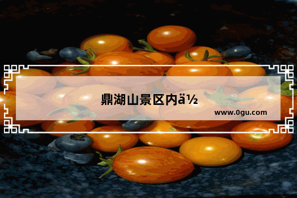 鼎湖山景区内住宿攻略