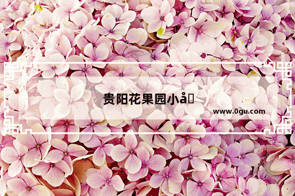 贵阳花果园小吃街哪里最出名