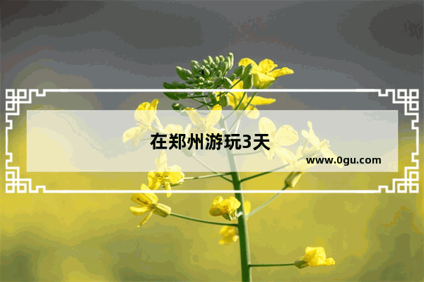 在郑州游玩3天 有适合的小众线路推荐吗