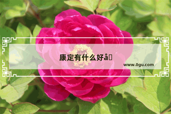 康定有什么好吃的