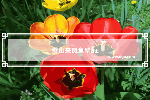 璧山来凤鱼璧山兔哪家最好吃