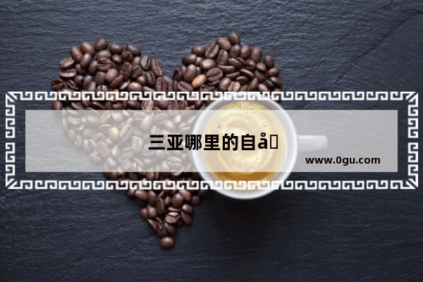 三亚哪里的自助海鲜好吃实惠啊