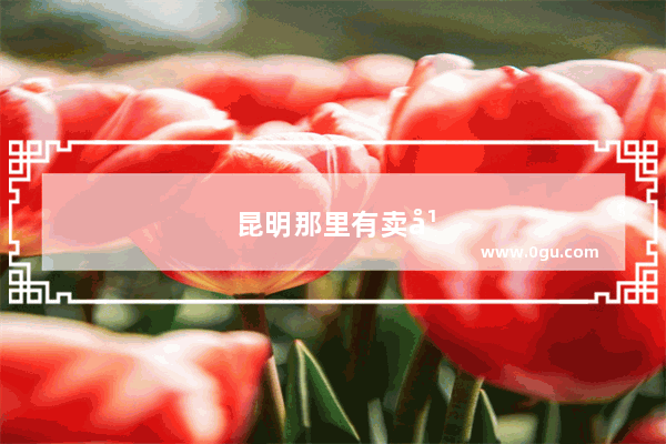 昆明那里有卖干米线的地方