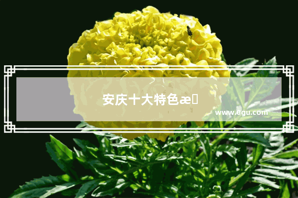 安庆十大特色早餐
