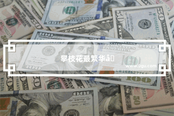 攀枝花最繁华地段在那里
