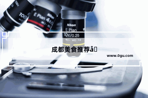 成都美食推荐前十名店有哪些地方好玩儿一点的