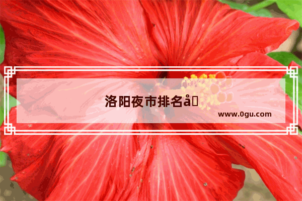 洛阳夜市排名前十