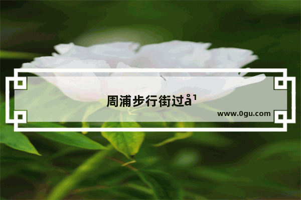 周浦步行街过年开放吗