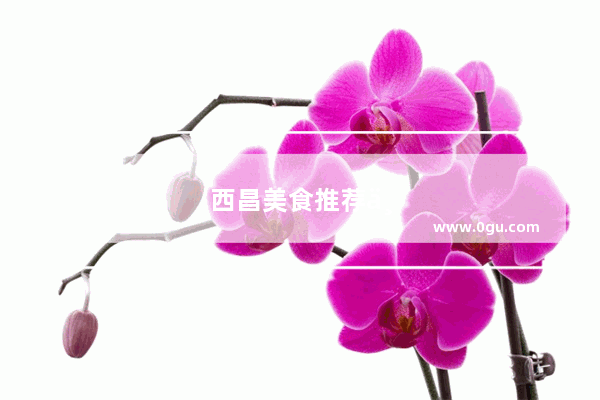 西昌美食推荐中餐馆有哪些菜好吃点的
