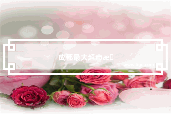 成都最大超市排名前十