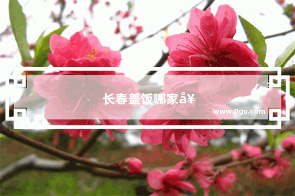 长春盖饭哪家好吃