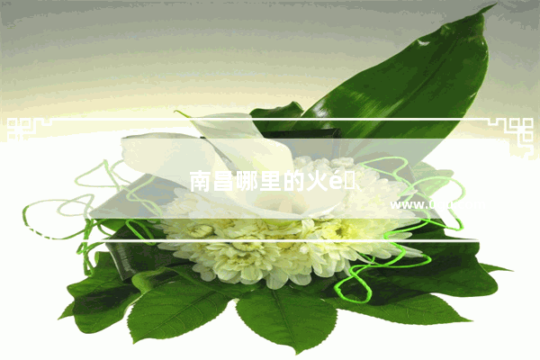 南昌哪里的火锅最好吃