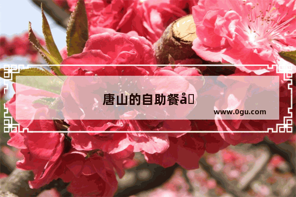 唐山的自助餐哪家好吃