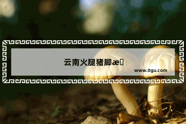云南火腿猪脚怎么做好吃