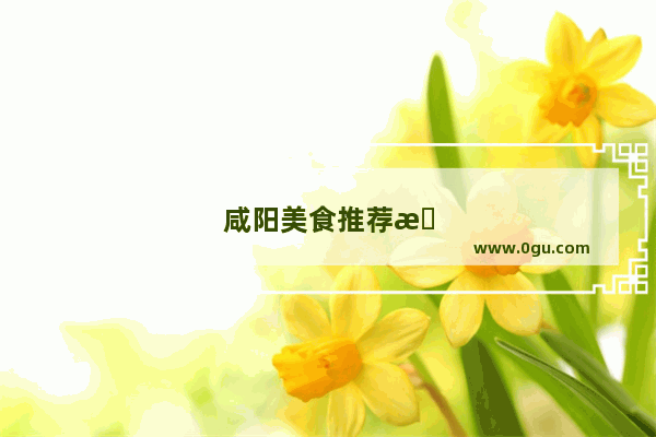 咸阳美食推荐排名前十名店有哪些店面呢