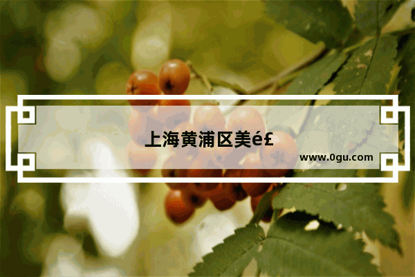 上海黄浦区美食推荐店有哪些地方