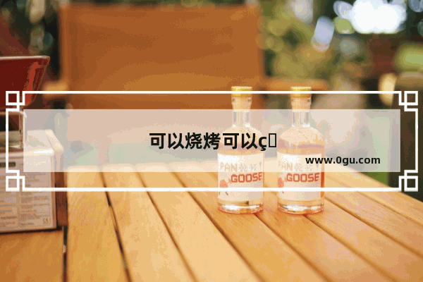 可以烧烤可以玩的地方